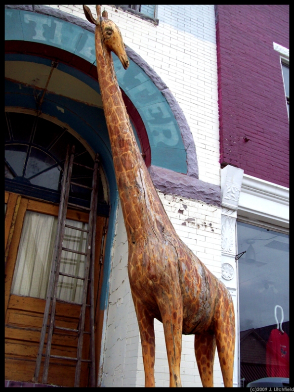 The wooden giraffe of West Milton.